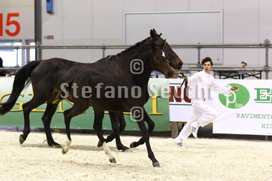 PRINCESS LIESA_MILANO_2010_SS3_7458.jpg